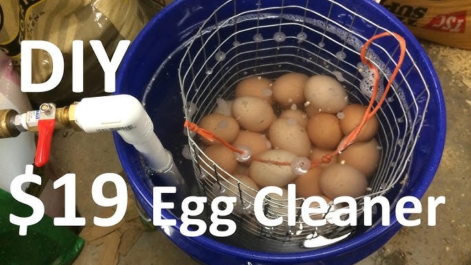 The Incredible Egg Washer  Incredible eggs, Chicken eggs, Farm