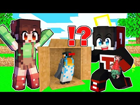 Helping a Lost Baby Penguin - Minecraft ( Tagalog )