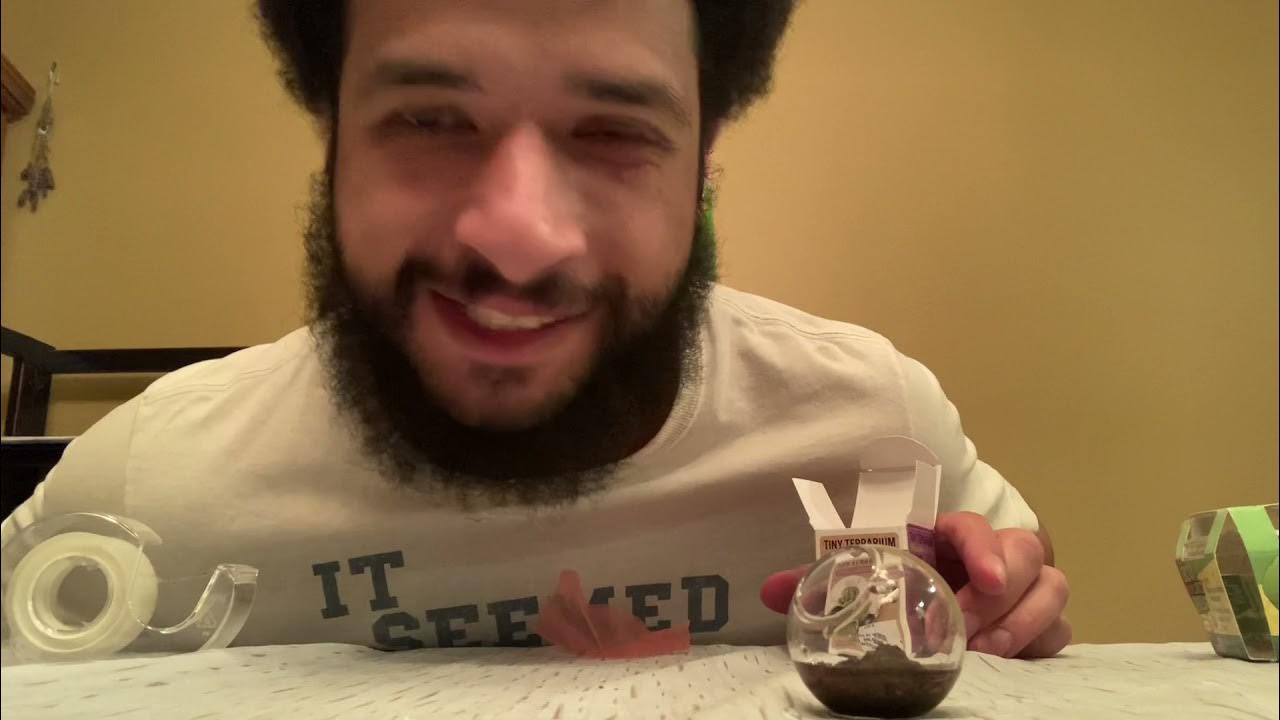 Tiny Terrarium Pincushion Cactus Unique Gardener YouTube