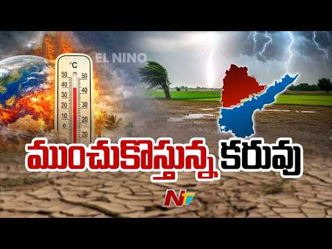 Farmers Struggle: వర్షాలు లేక మొలకెత్తని పంటలు.. ఆకాశం వైపు రైతుల ఎదురుచూపు | NTV Telugu - NTVTELUGU