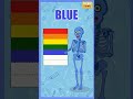 🌈💀 El Esqueleto Se Une al Reto de Mezclar Colores 🎨#shorts #kids #puebloteehee