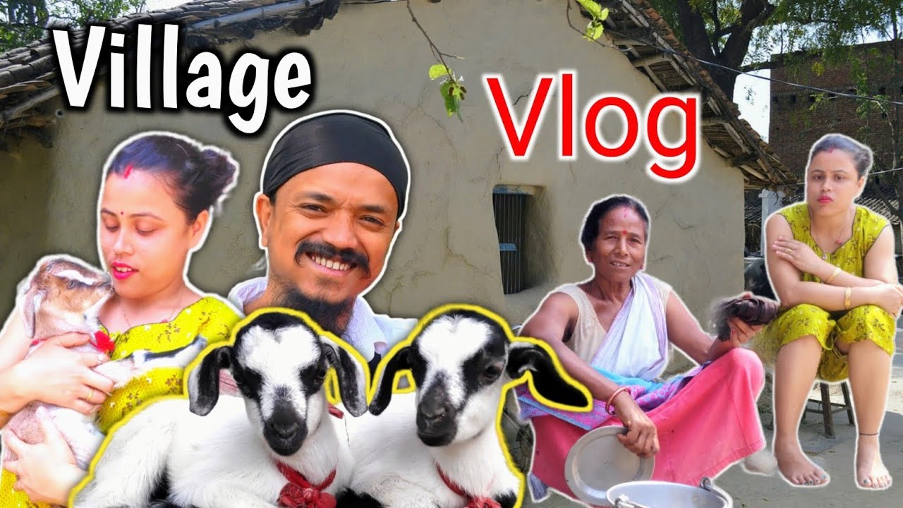     Moi Aru Lipi  Assamese Vlog  Village Vlog