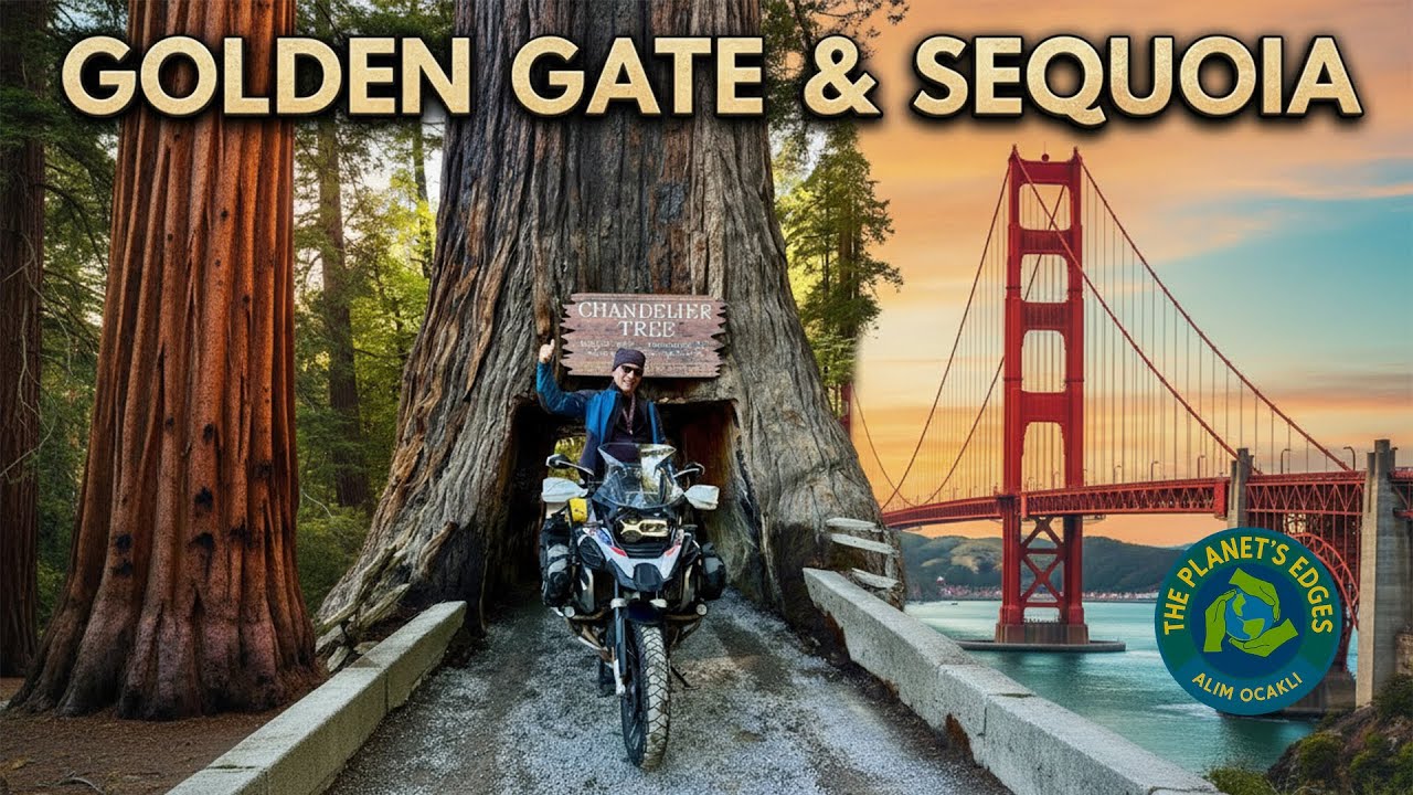 Golden Gate Köprüsünden Sekoya Ormanlarına | The Planet's Edges | S03E28