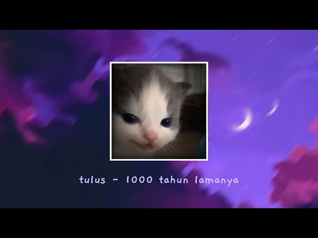 Tulus - 1000 tahun lamanya sped up class=