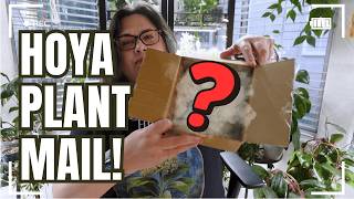 Unboxing a Rare Hoya Wishlist Plant   My Redemption Trade Mail