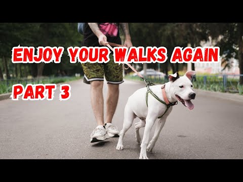 Tips To Make Walking The Dog More Enjoyable