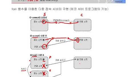 [열혈강의] TCP/IP 소켓 프로그래밍 - #19 7장 fork 함수 (2)