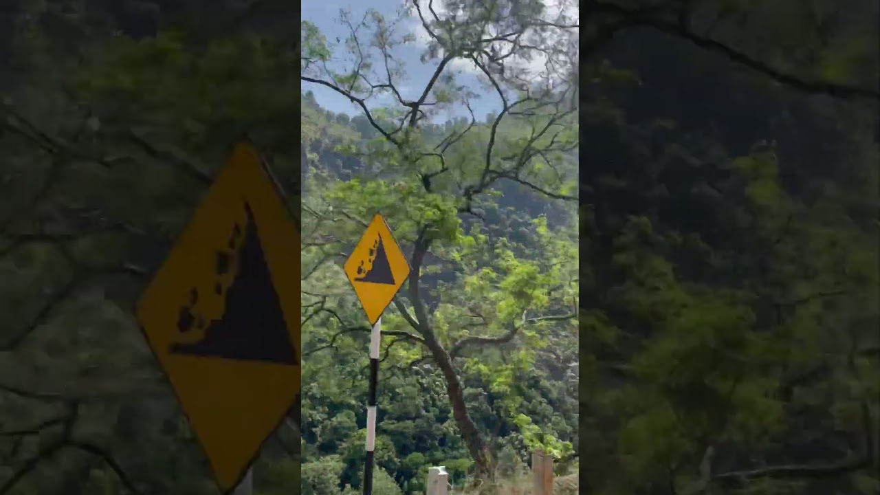 스리랑카😍❤️