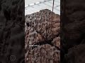 Chocolate dripping on Brownie/ Homemade dessert