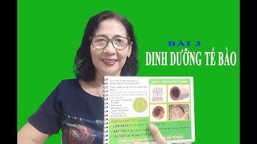 TALKING POINT BÀI 3: DINH DƯỠNG TẾ BÀO | Phượng Trần