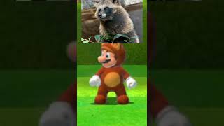 Tanooki Mario Is Not Rac Mario