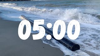 5 Minute Timer with Relaxing Beach Scene | Wind & Waves