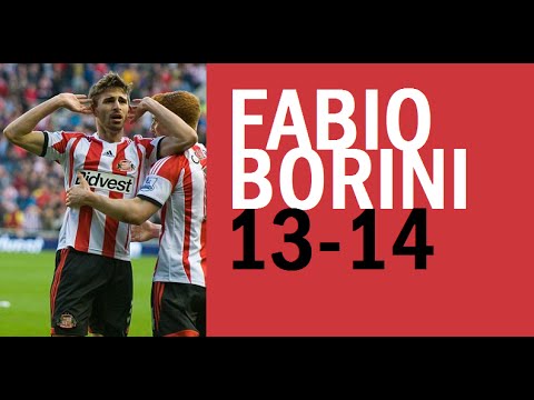 Fabio Borini - Sunderland - 2013/14