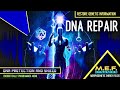 Full dna repair  stimulation  healing miracle tone morphic  programmed audio fields