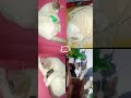 Kiki & her sleeping style against the world 🙂 #cat #cute #funny #pets #sleep #shorts #fyp #trending