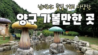 시장식당 영상