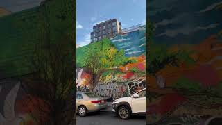 COM 255 0502 [32702] Media Project 2: Cultural Spaces - Puerto Rico Avenue 