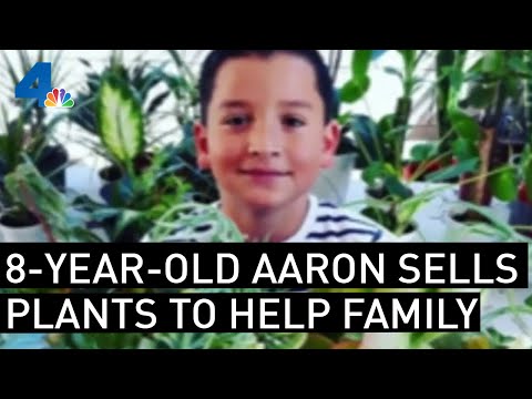 8-Year-Old Aaron Sells Succulents to Help Family | NBCLA