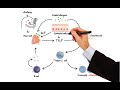 Pharmacology DRUGS FOR ASTHMA AND COPD MADE EASY Pharmacology DRUGS FOR ASTHMA AND COPD MADE EASY