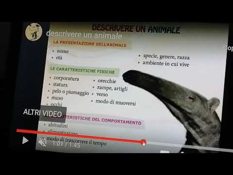 Video: Che cos'è la descrizione di un animale?