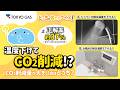 【1分省エネ】どっちがCO2削減!?正解率37%「シャワーの温度 vs. お風呂の温度」