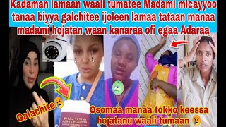 📌😳Madaamin biyya galchitee namaa laman tahaani osoo hojatanu waan isheen irratii rawate dhagefadha