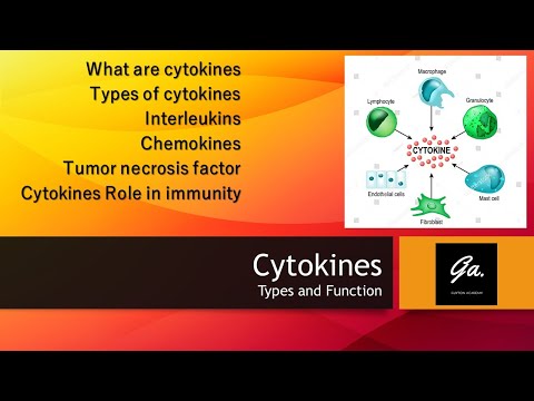 CYTOKINES: Interleukins and their functions |Interferons| Chemokines| Immunology