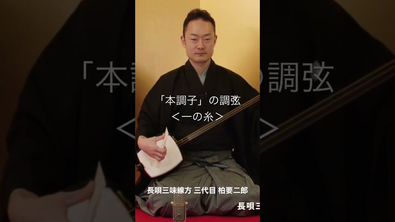三味線撥、本鼈甲、長唄、民謡 とこ