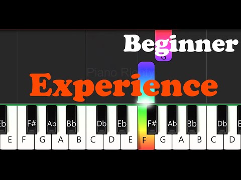 Experience (Piano) - Ludovico Einaudi
