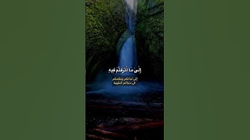 #سورة_الأنبياء #وديع_اليمني