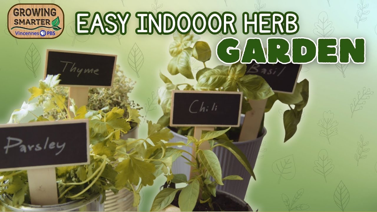 How to Grow an Indoor Herb Garden | Easy Herbs for Beginners