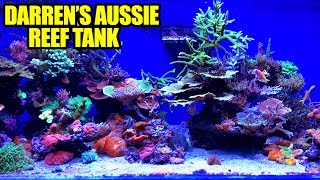 http://ReefBuilders.com is the source for all your reef aquarium news - the latest on exotic fish, rare corals and hot new aquarium 