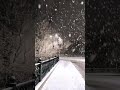 #snow #winter #love #road #short #new #video #2021 #december2021  #romantic #song  #status #good #mu