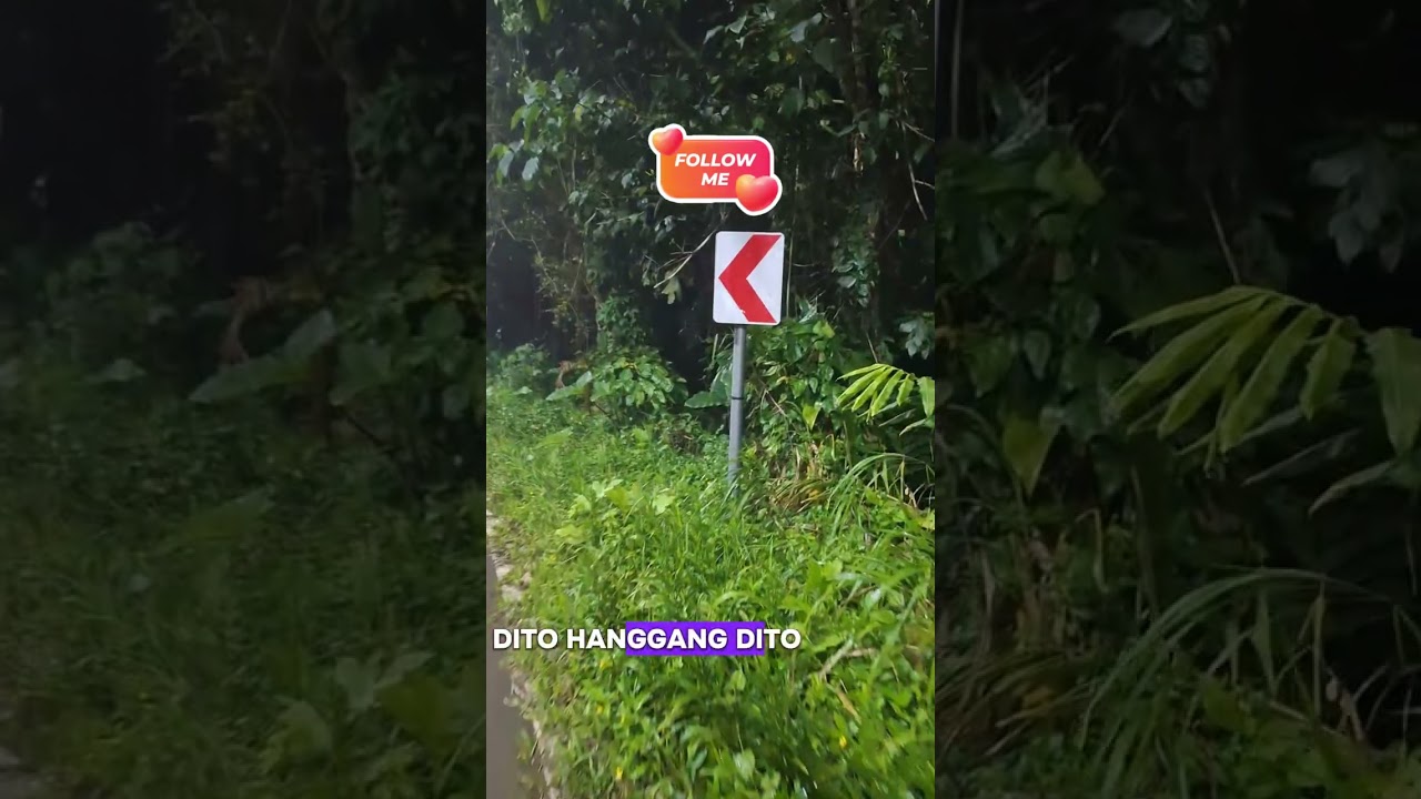 March 1, 2026 ma fog at maulan  pa din sa lugar namin dito lang yan sa Lucban Sampaloc Road Quezon