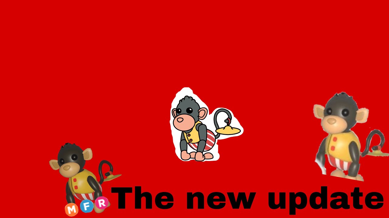 New Monkey update ๐ ๐ - YouTube
