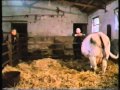 Seventy Summers - The Story of a Farm Pt. 5/5 "The Changing View" (BBC 1987)