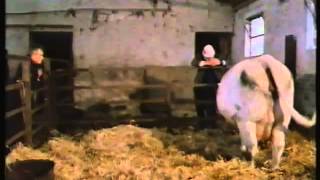 Seventy Summers - The Story of a Farm Pt. 5/5 "The Changing View" (BBC 1987)