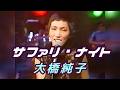 サファリ・ナイト