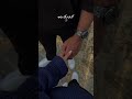 قلبي كتير مبسوط بجنبك 