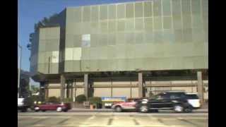 America, Mone Divine & Jada Fire - OF Profile