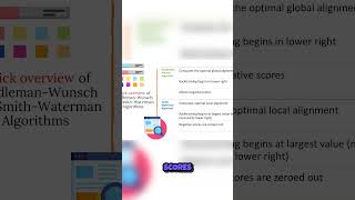 Unlocking the Secrets of Sequence Alignment Algorithms! 🔍