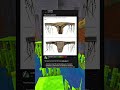 the thong made of seal fur... #shorts