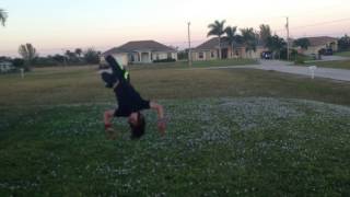grass session (weird fails)