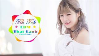 Download Lagu [ EDM ] Siêu Phẩm Nhạc EDM Thái Lan - Indonesia Remix 2019 || Tik Tok Channel Music MP3