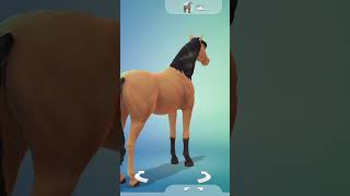 How to create spirit #sims4 #thesims4 #horseranch