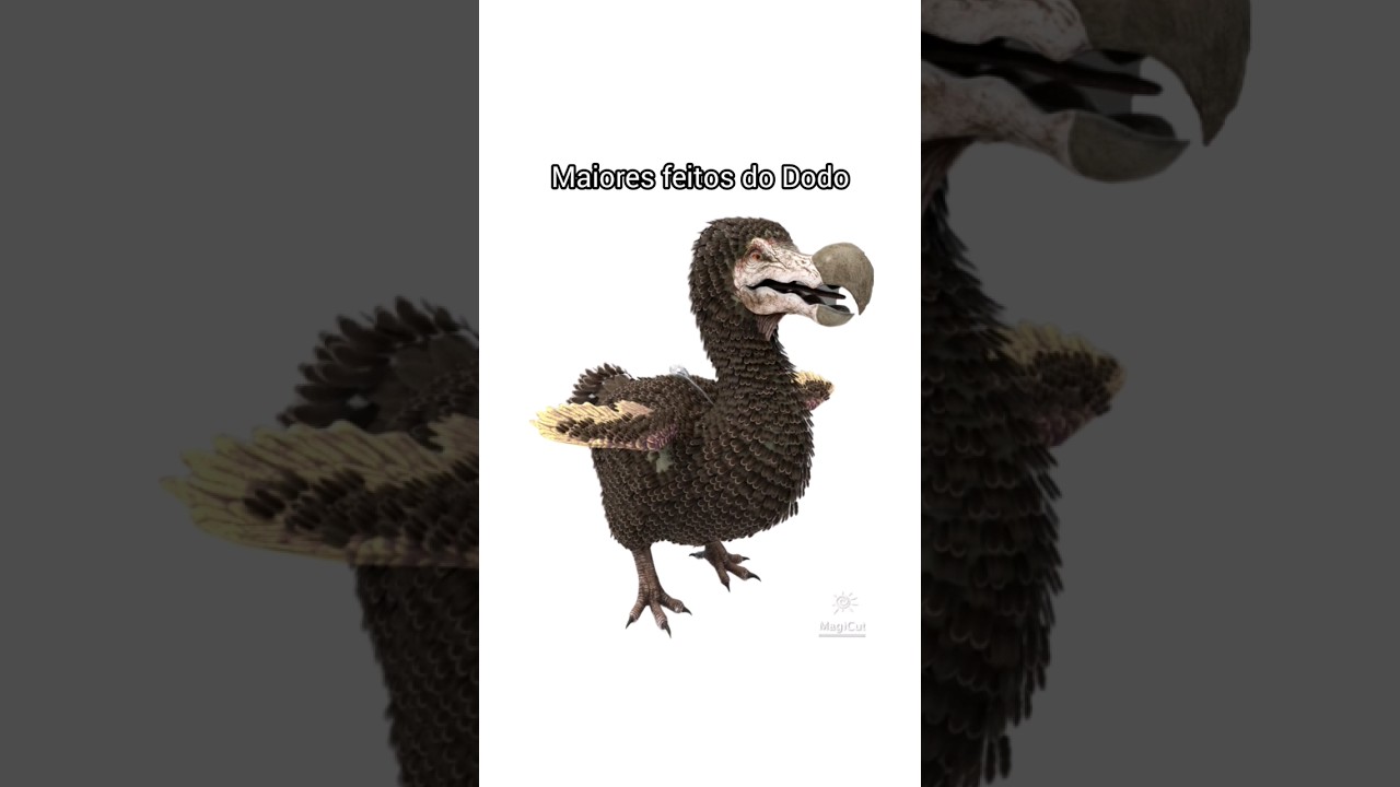Maiores feitos do Dodo 