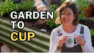 Herbal Tea Garden in My Elevated Bed