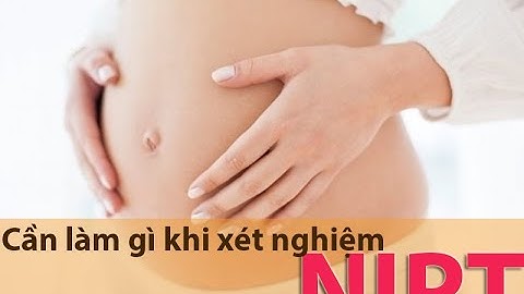 Thai phụ cần làm gì khi xét nghiệm NIPT?