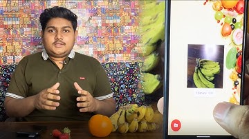 Fruit Detection App in Flutter Using Machine Learning