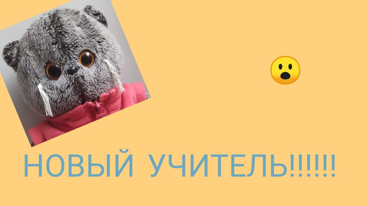Видео школа басиков